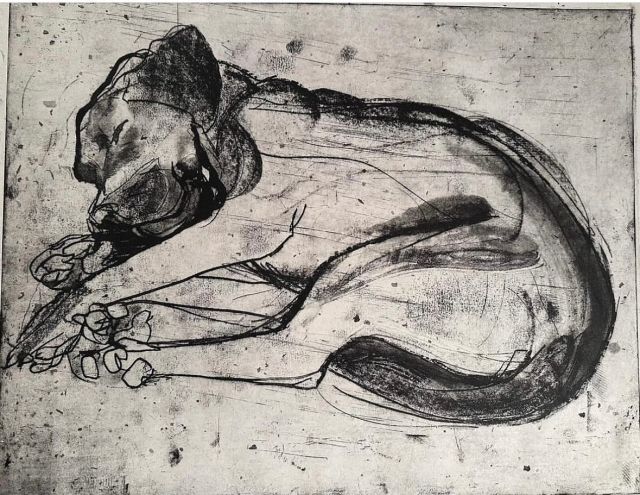 I believe it is international puppy day. Here is Lara a black Labrador puppy. #etching and chine collé.Lara sadly died at the age of eight from a brain tumour
